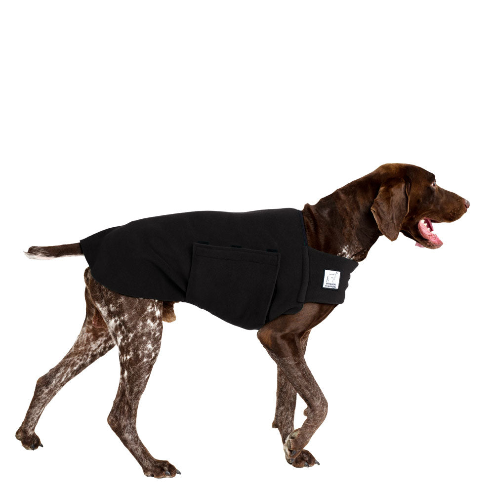 German Shorthaired Pointer Tummy Warmer in Black