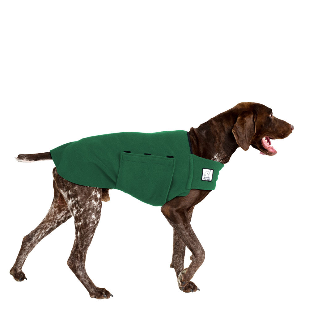 German Shorthaired Pointer Tummy Warmer in Green