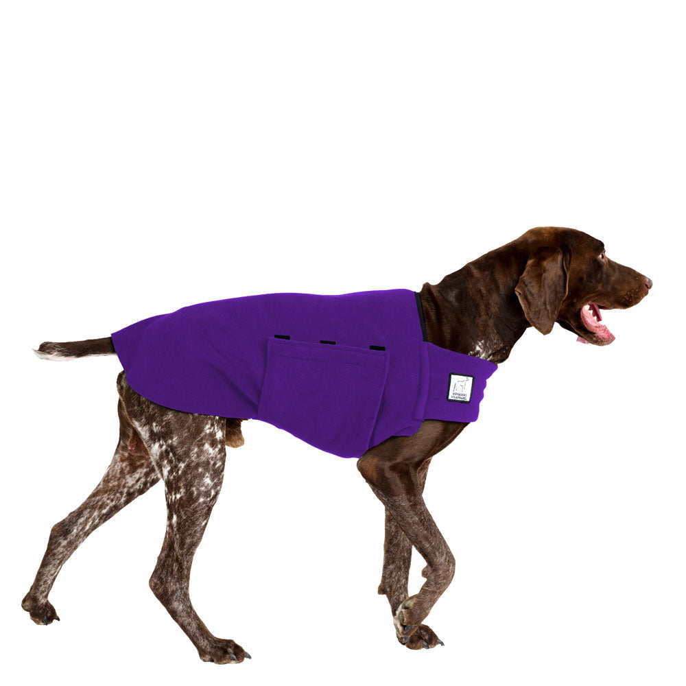 German Shorthaired Pointer Tummy Warmer in Purple