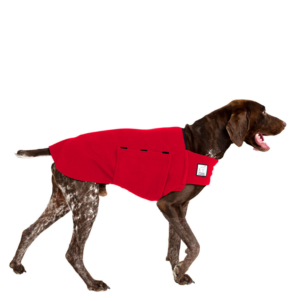 German Shorthaired Pointer Tummy Warmer in Red