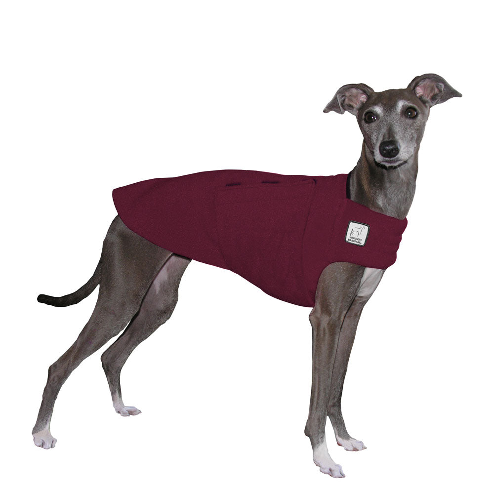 Italian Greyhound Tummy Warmer in Burgundy