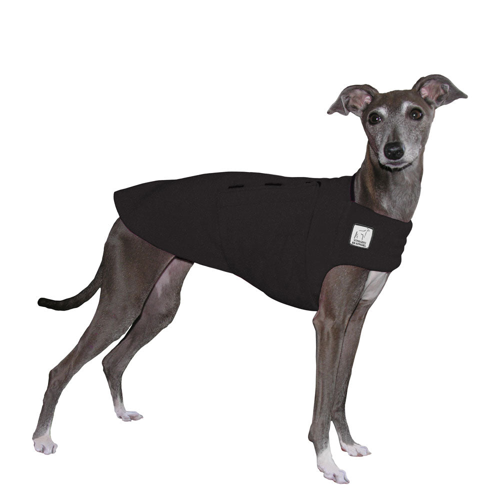 Italian Greyhound Tummy Warmer in Black