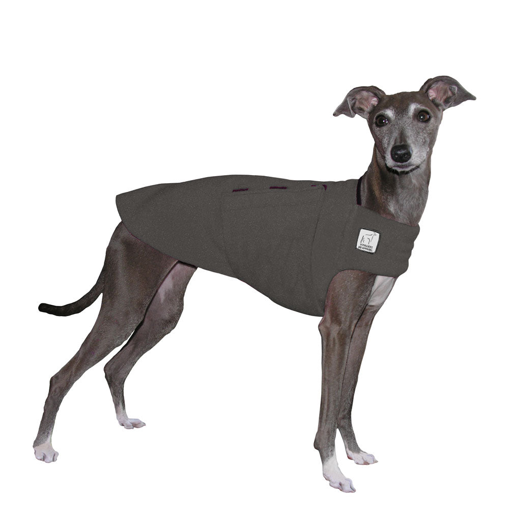 Italian Greyhound Tummy Warmer in Nightfall