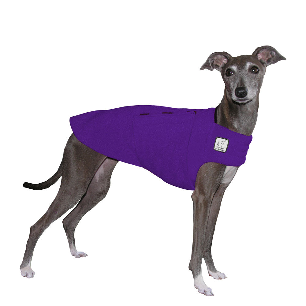 Italian Greyhound Tummy Warmer in Purple