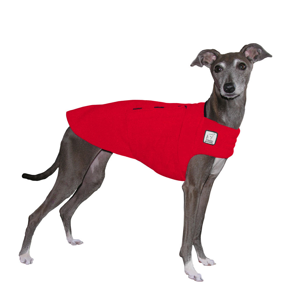 Italian Greyhound Tummy Warmer in Red