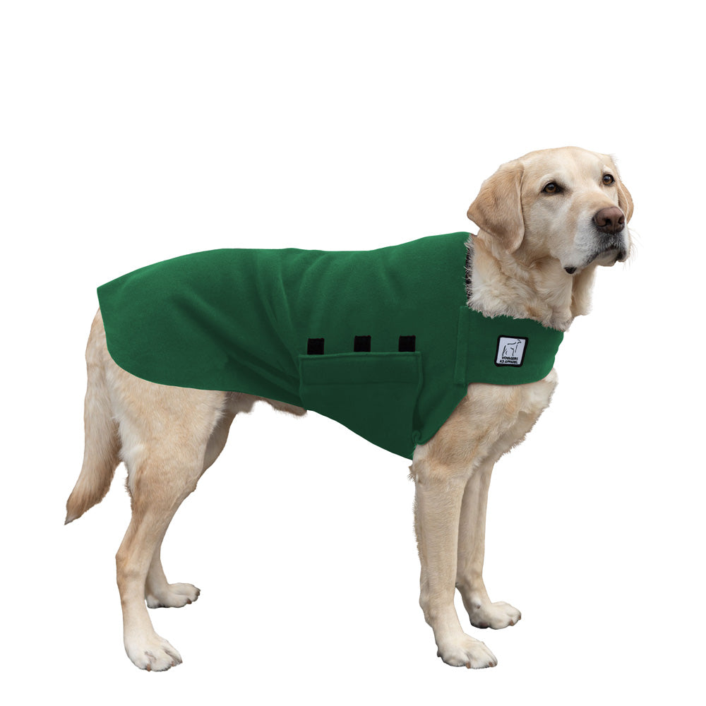 Labrador Retriever Tummy Warmer in Green