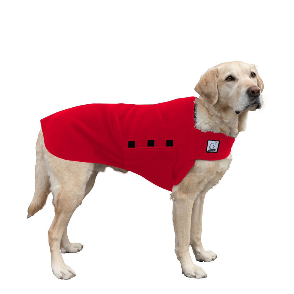 Labrador Retriever Tummy Warmer in Red