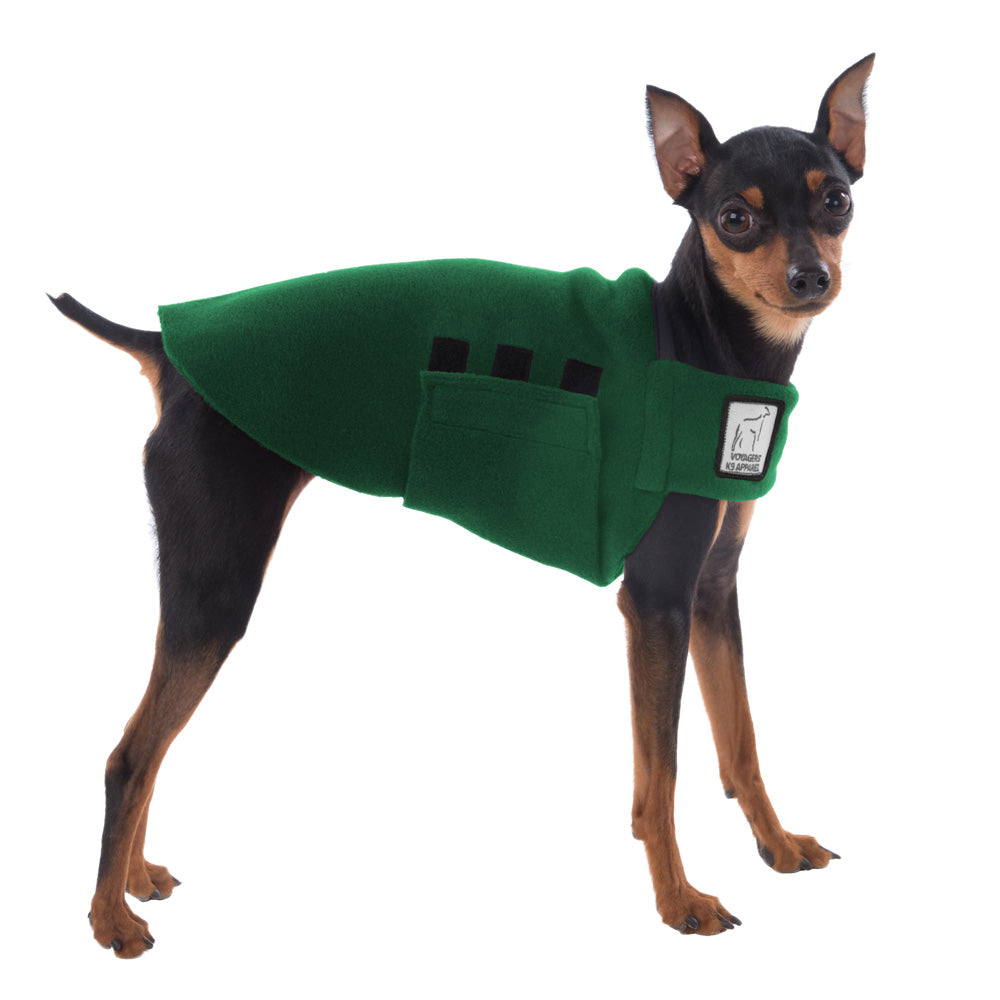 Miniature Pinscher Tummy Warmer in Green
