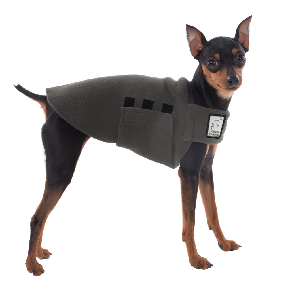 Miniature Pinscher Tummy Warmer in Nightfall