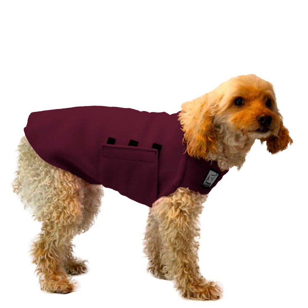 Miniature Poodle Tummy Warmer in Burgundy