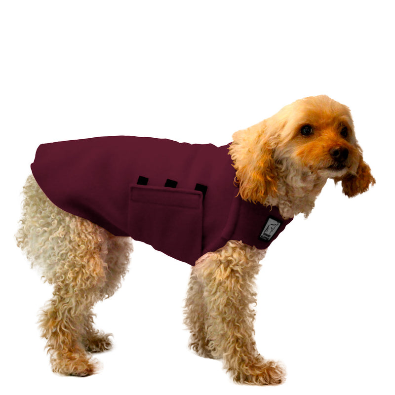 Miniature Poodle Tummy Warmer in Burgundy