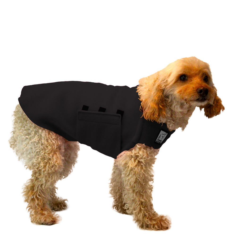 Miniature Poodle Tummy Warmer in Black