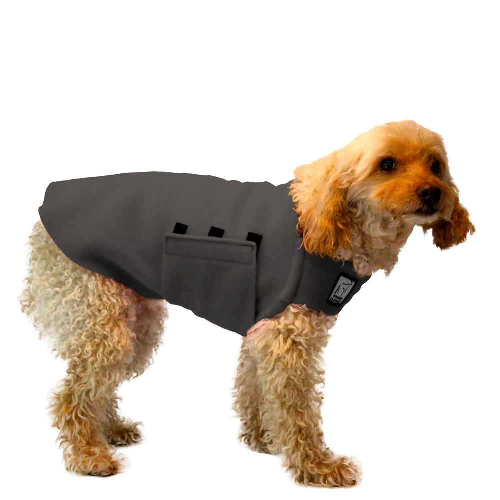 Miniature Poodle Tummy Warmer in Nightfall