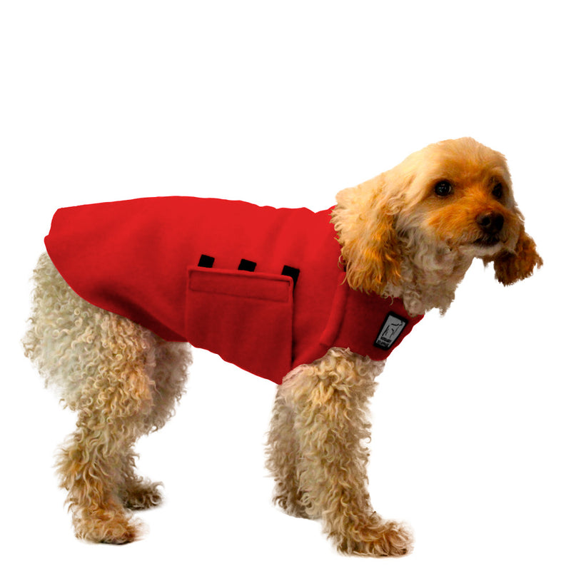 Miniature Poodle Tummy Warmer in Red