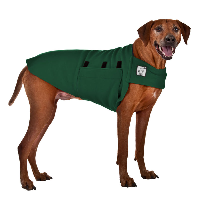 Rhodesian Ridgeback Tummy Warmer in Green