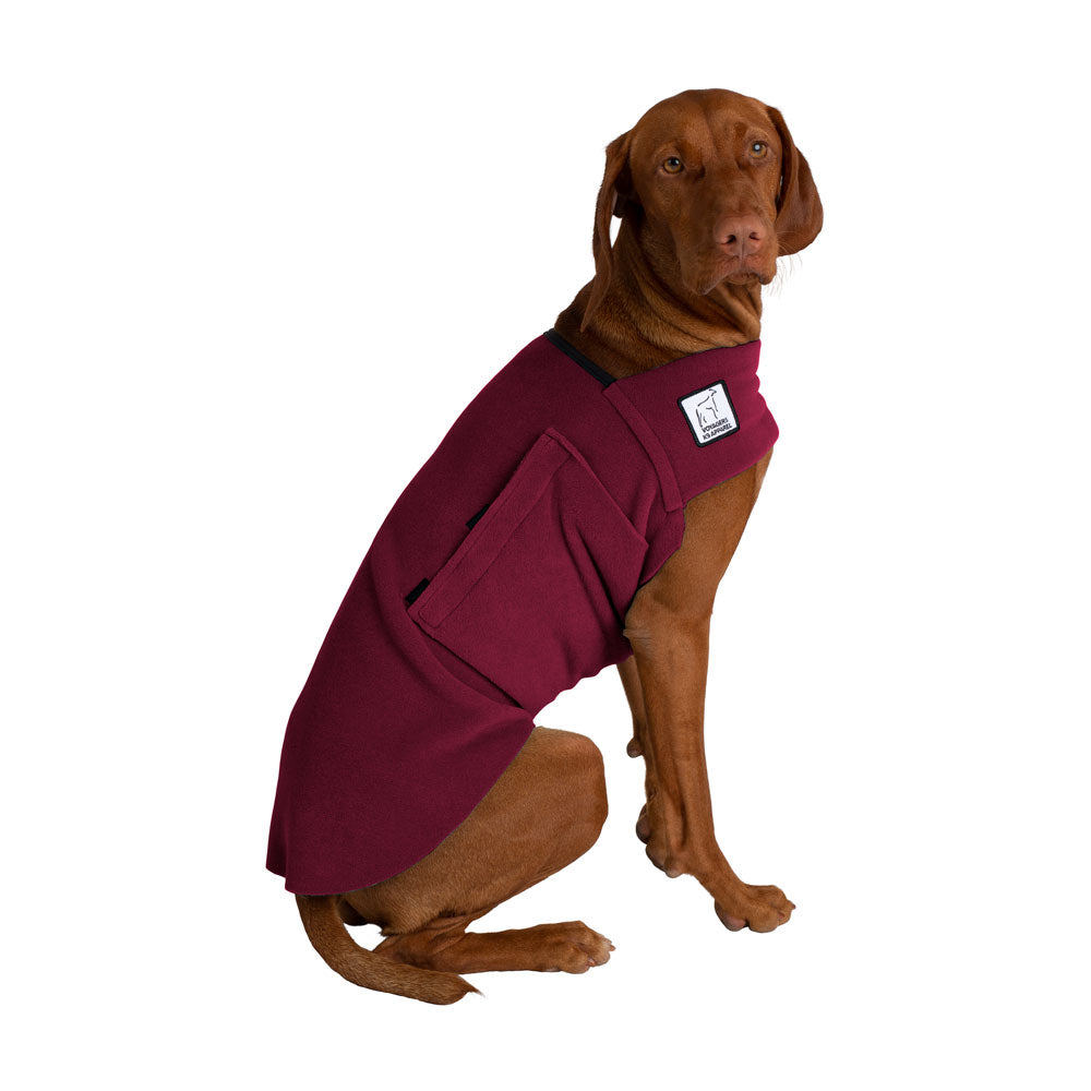 Vizsla Tummy Warmer in Burgundy