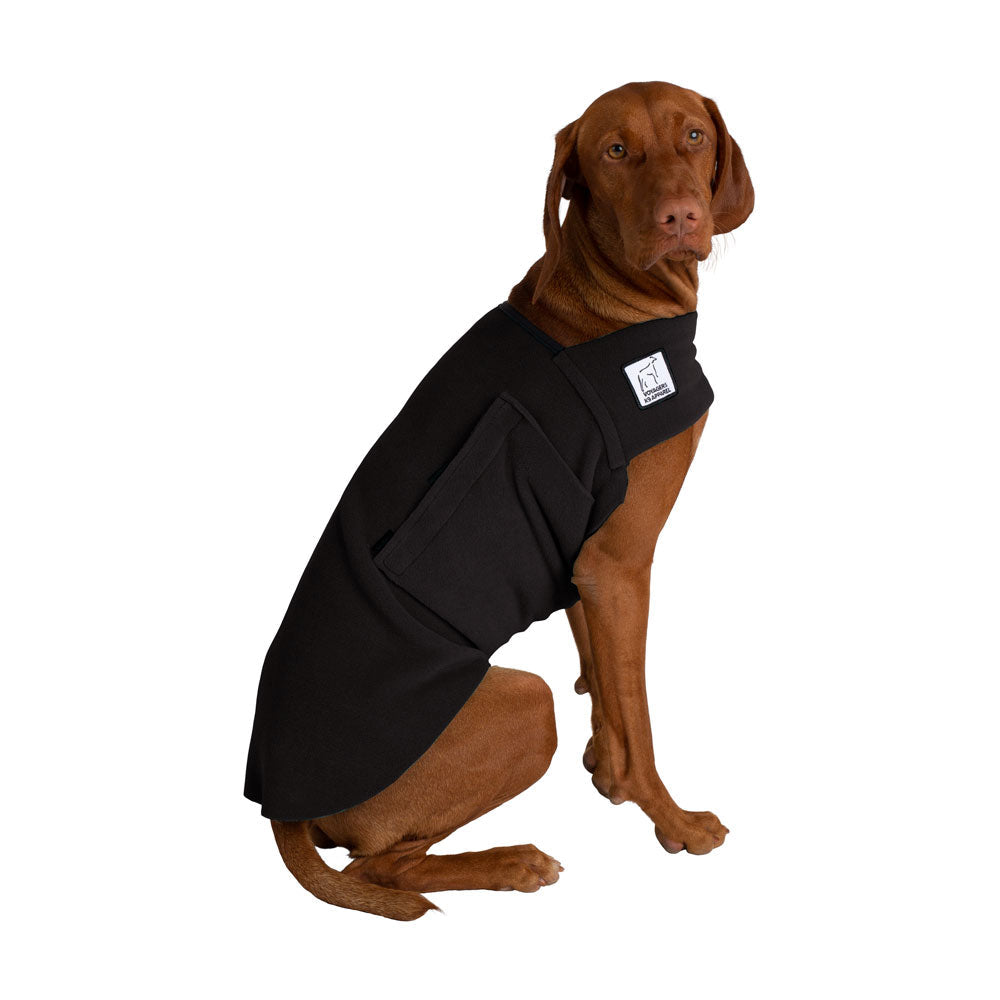 Vizsla Tummy Warmer in Black