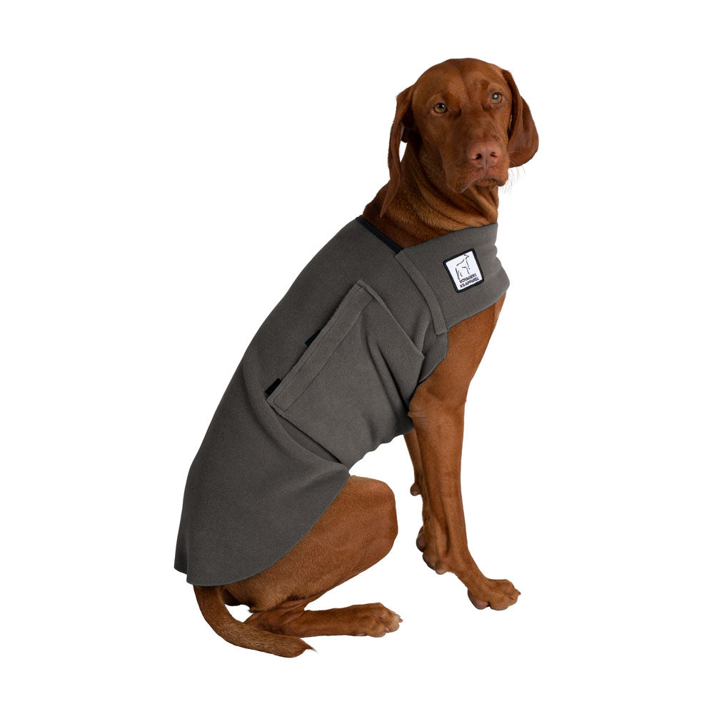 Vizsla Tummy Warmer in Nightfall