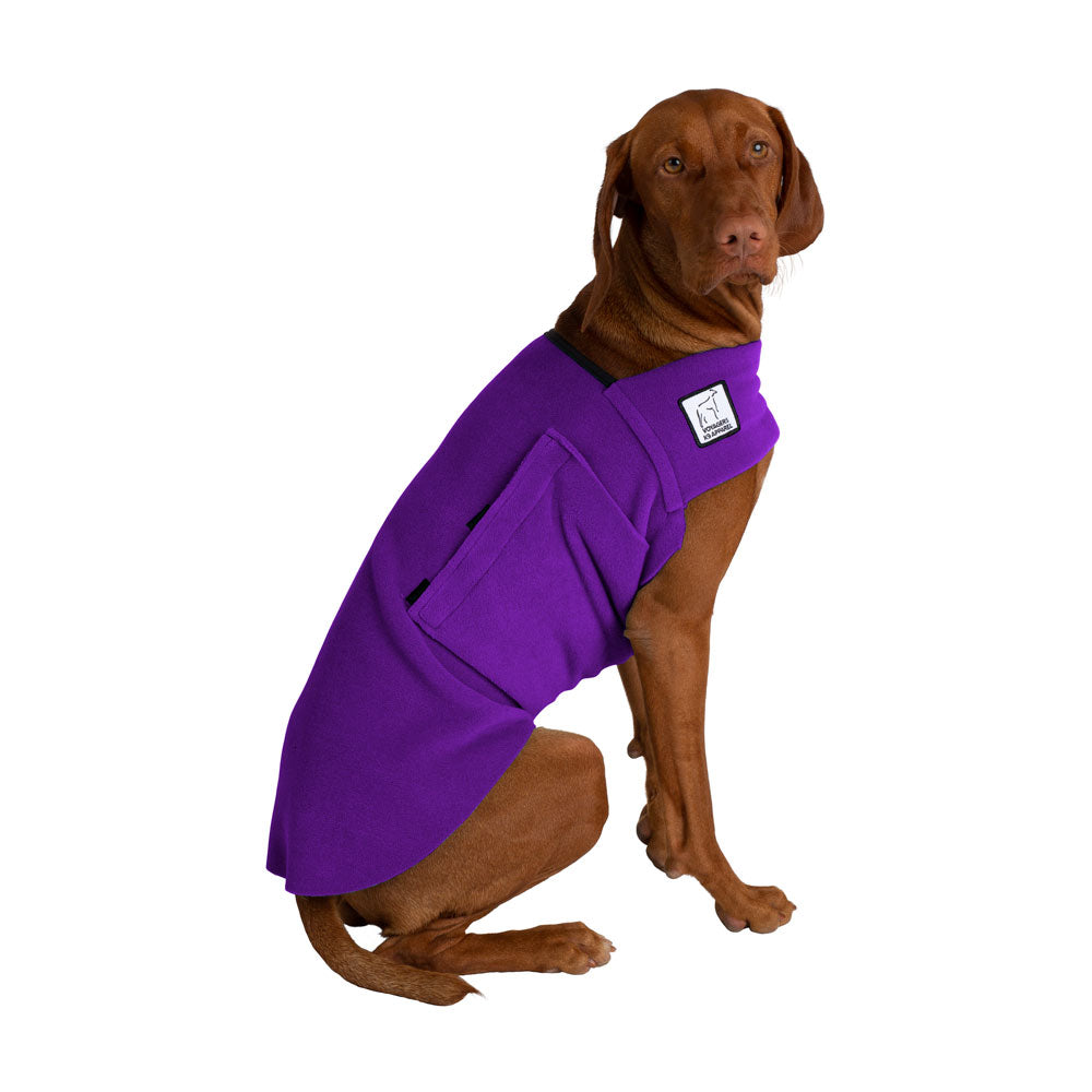 Vizsla Tummy Warmer in Purple