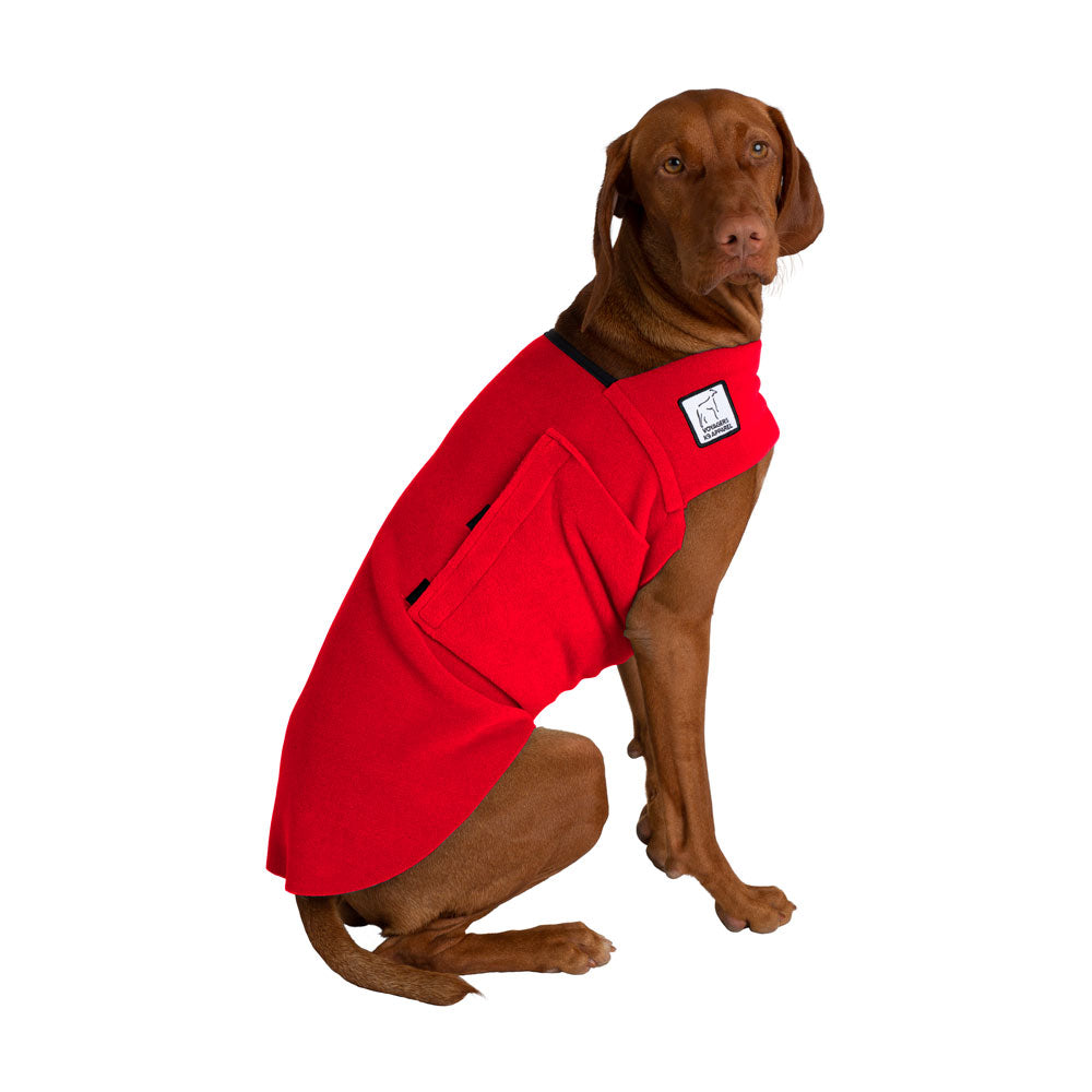 Vizsla Tummy Warmer in Red