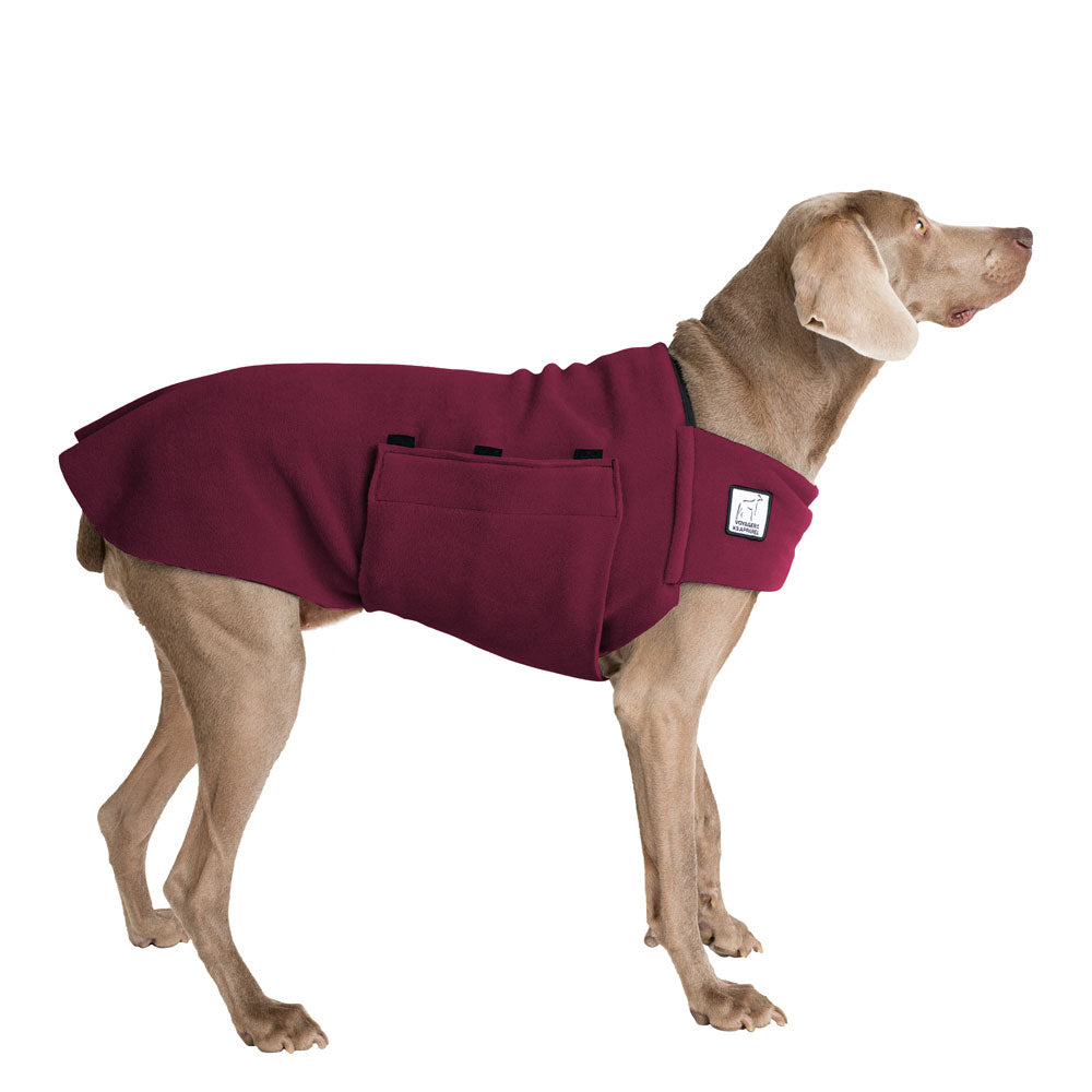 Weimaraner Tummy Warmer in Burgundy