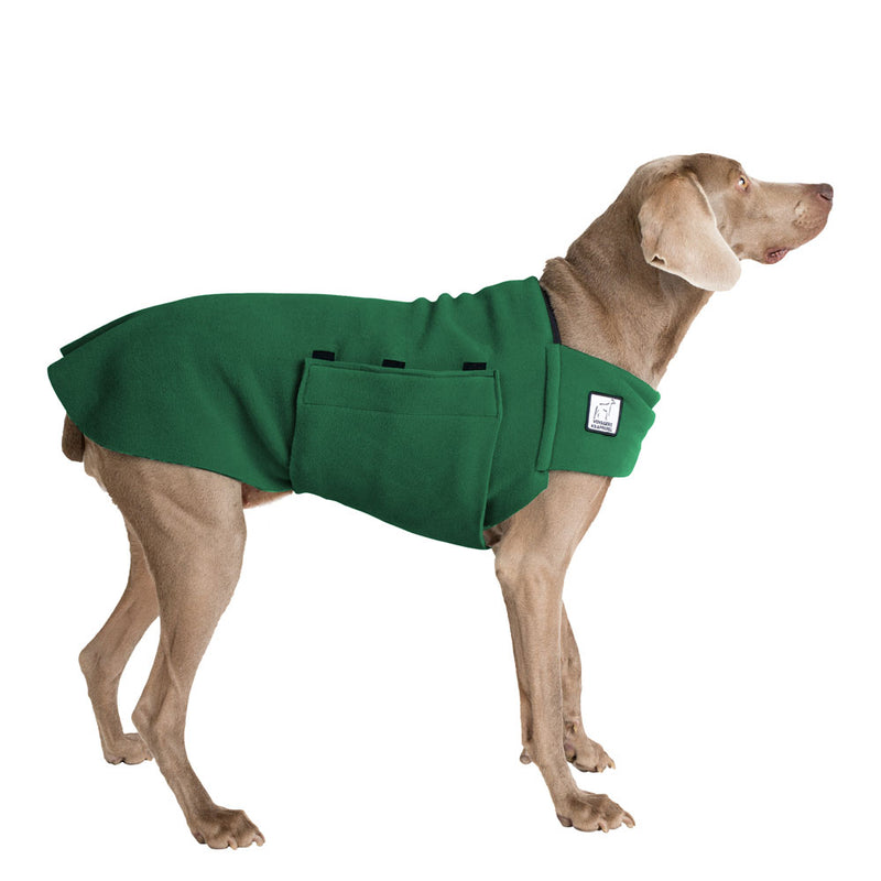 Weimaraner Tummy Warmer in Green