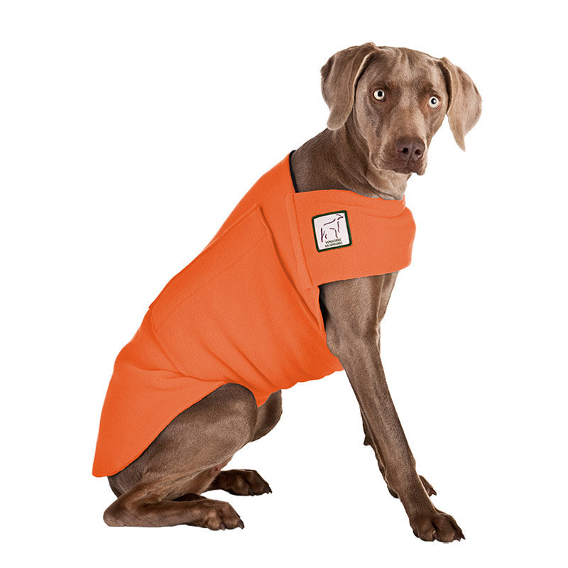Weimaraner Tummy Warmer in Orange