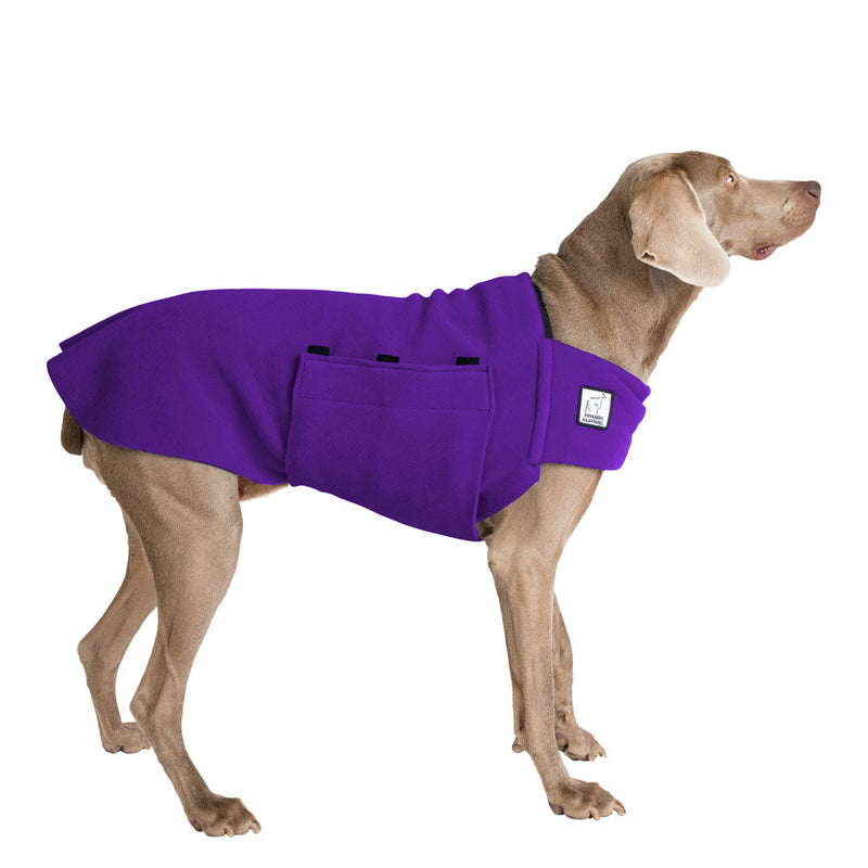 Weimaraner Tummy Warmer in Purple