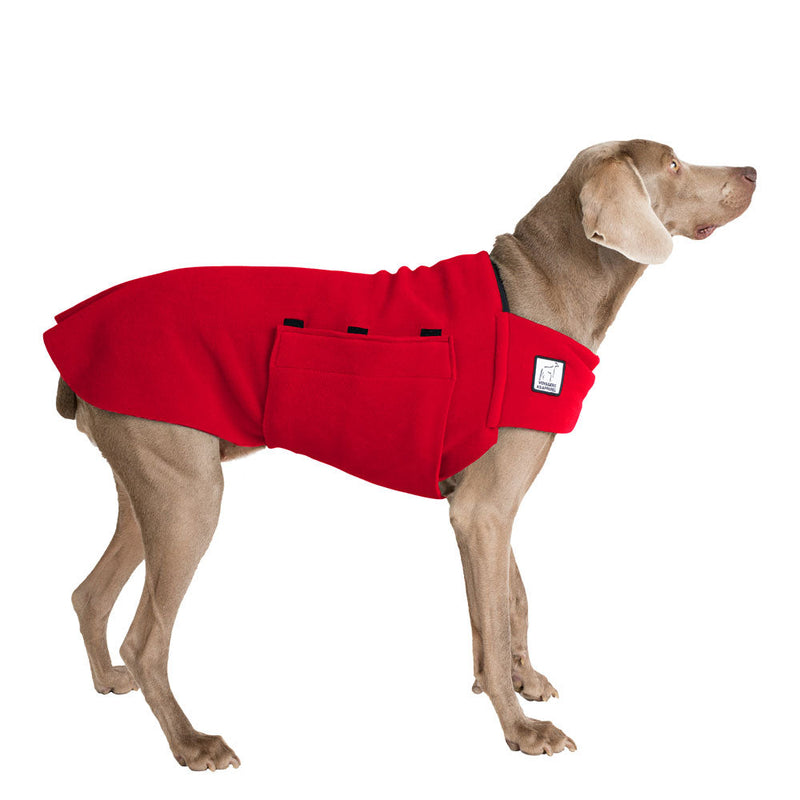 Weimaraner Tummy Warmer in Red
