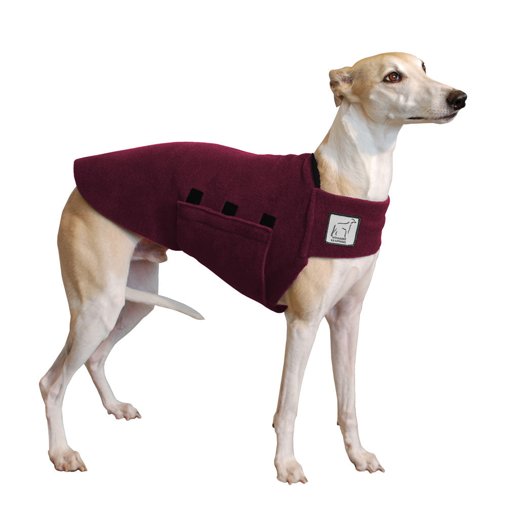 Whippet Tummy Warmer in Burgundy