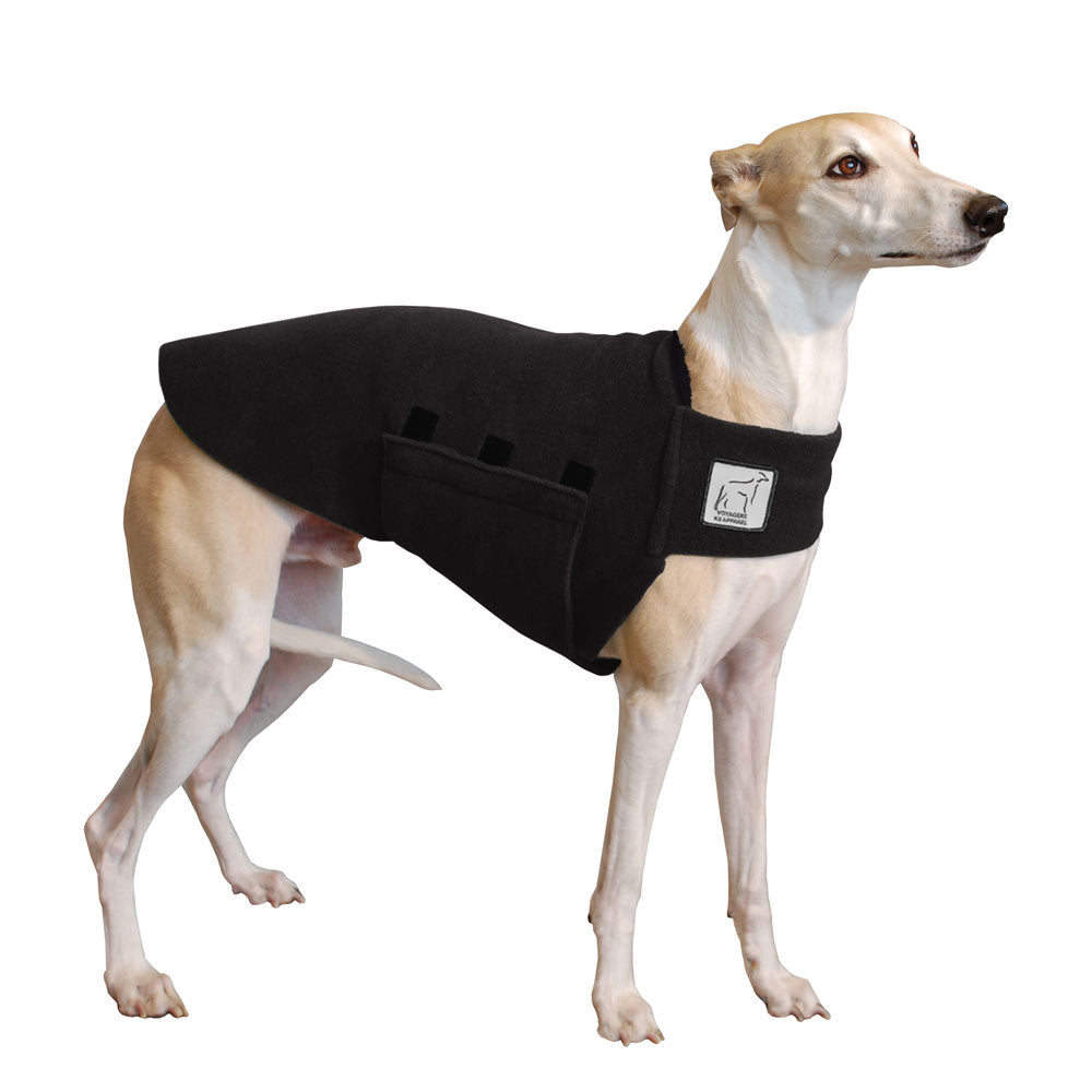 Whippet Tummy Warmer in Black