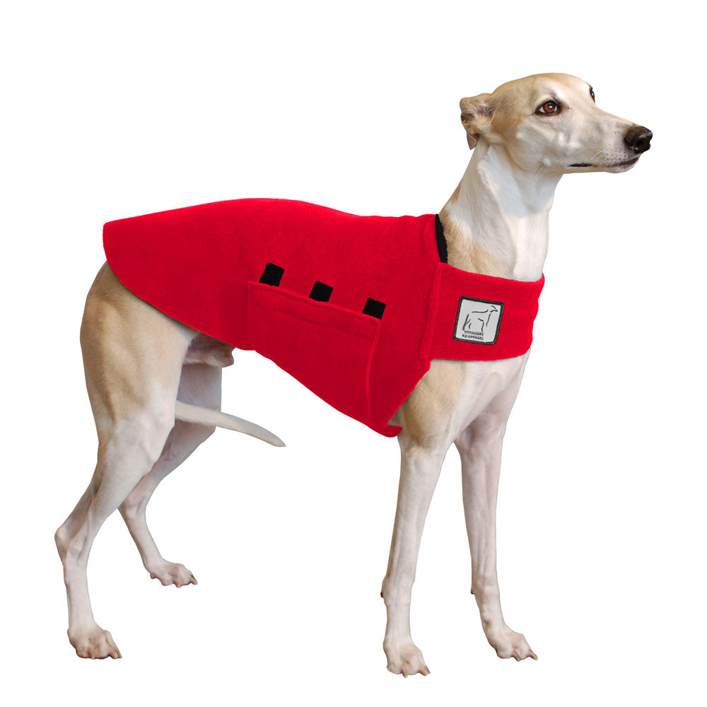 Whippet Tummy Warmer in Red